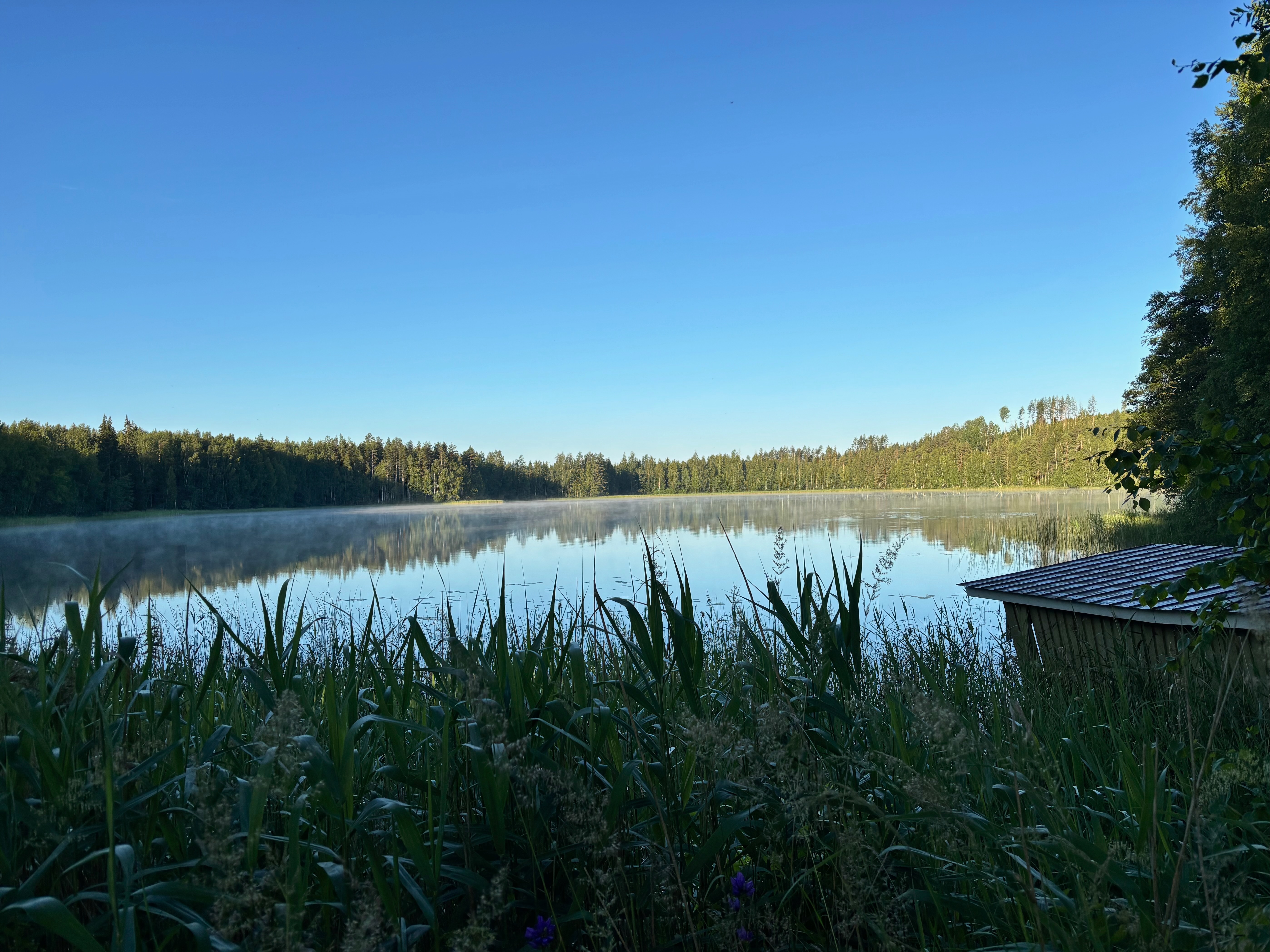 Rauhallinen järvimaisema